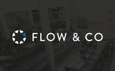 Definition of a food e‑commerce logistics model