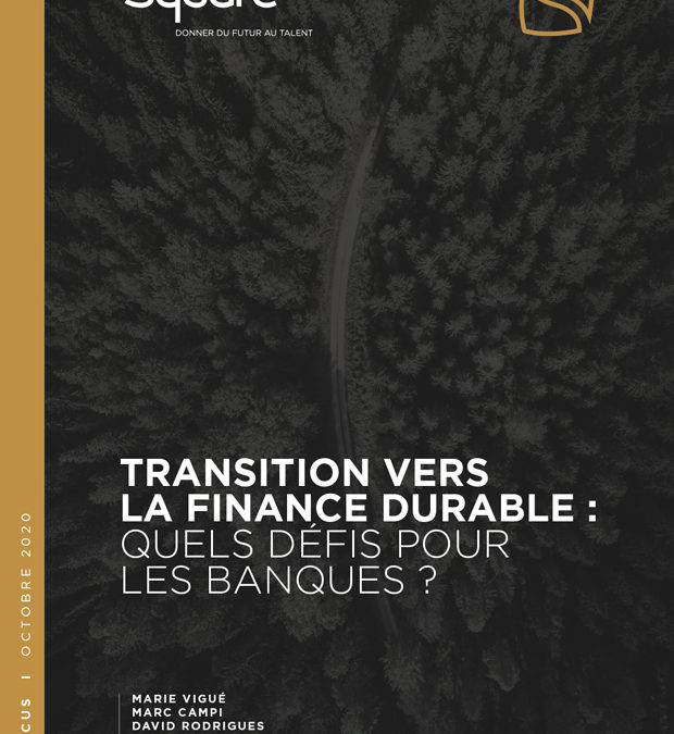 Transition vers la finance durable : quels défis pour les banques ?