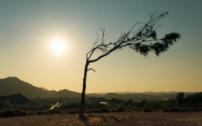 Risque climatique : une opportunité pour l’industrie bancaire ?