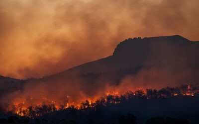 Réchauffement climatique, un défi de taille pour les assureurs