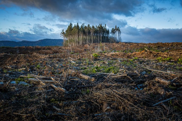 Assurabilité : les 4 grands défis des assureurs face au changement climatique