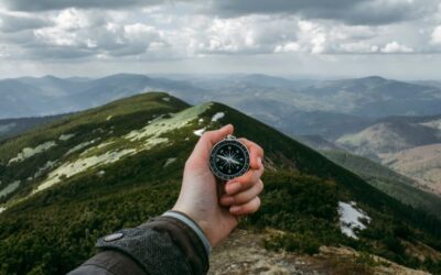 La durabilité : nouvelle boussole pour la commercialisation des contrats d’assurance vie