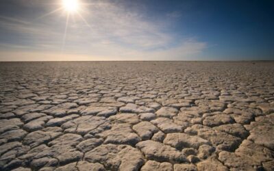 La dette des Etats : une affaire de pluie et de beau temps