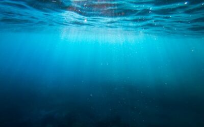 Les Blue Bonds : une simple goutte d’eau dans l’océan de la finance durable ?