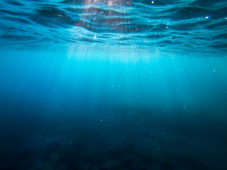 Les Blue Bonds : une simple goutte d’eau dans l’océan de la finance durable ?
