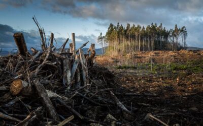 Climat : ça chauffe pour les banques !