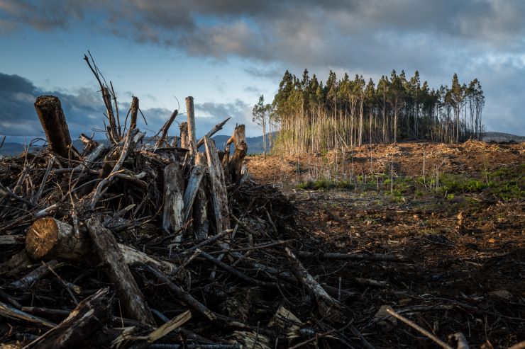 Climat : ça chauffe pour les banques !