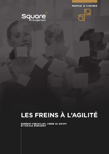 Les freins à l’agilité