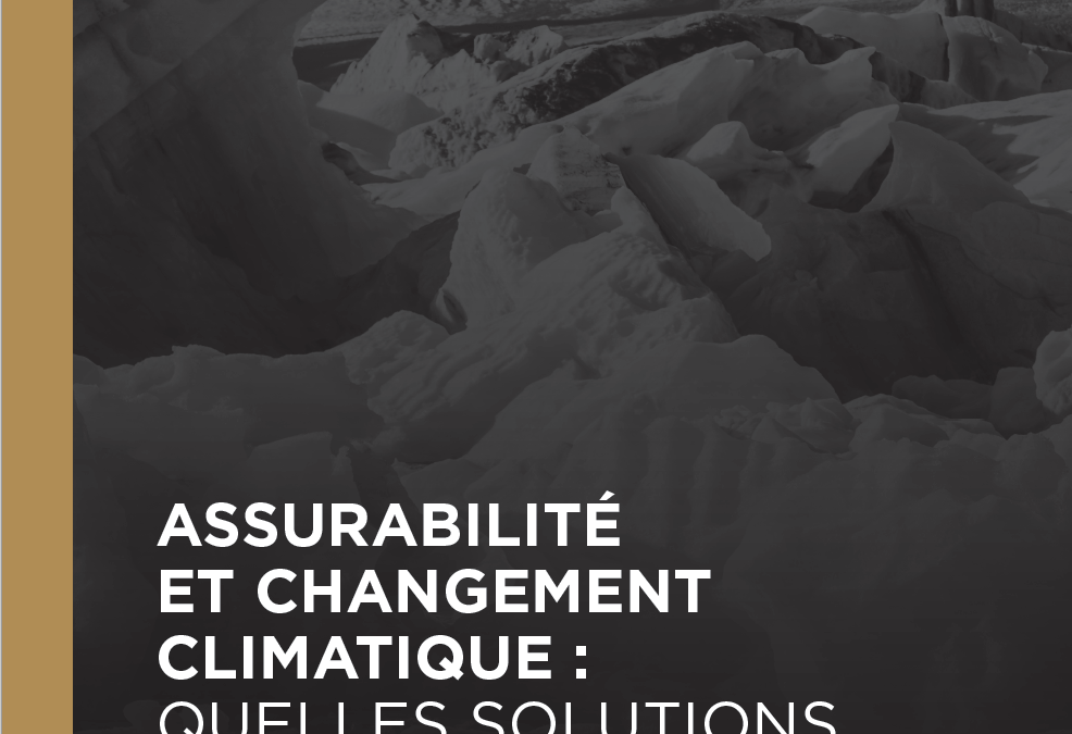 Assurabilité et changement climatique : quelle solution proposer face au risque physique