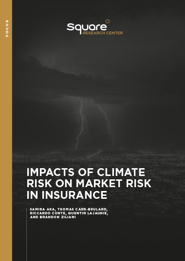Impacts of climate risk on market risk in insurance