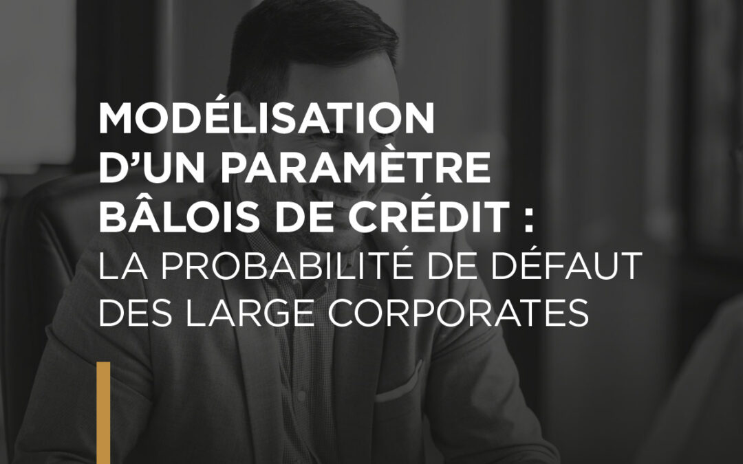 Modélisation d’un paramètre bâlois de crédit : la probabilité de défaut des Large Corporates